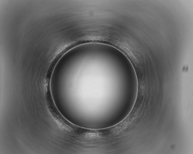 X0000096160160200801251136