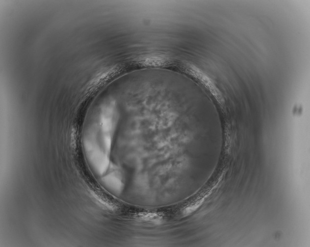 X0000096160161200801251136