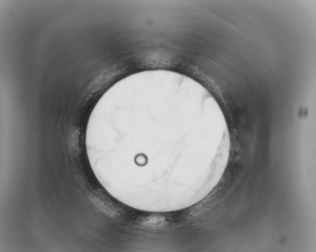 X0000096160162200801251136