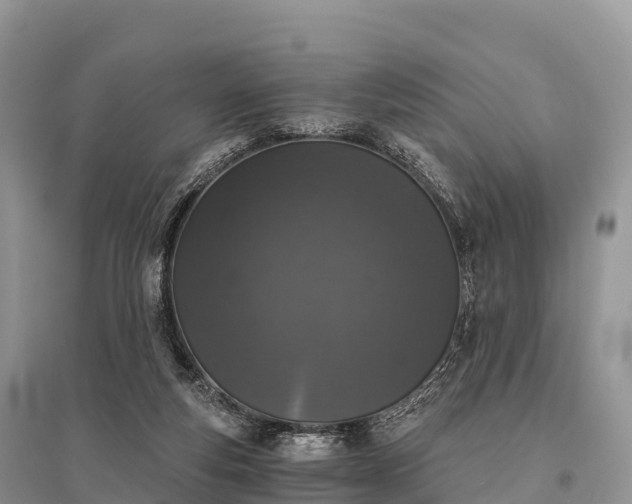 X0000096160163200801251136