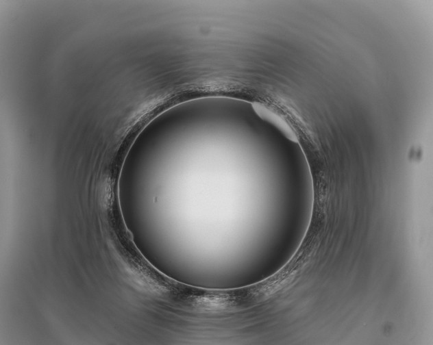 X0000096160164200801251136