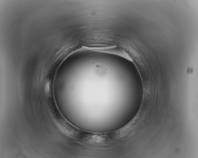 X0000096160166200801251136