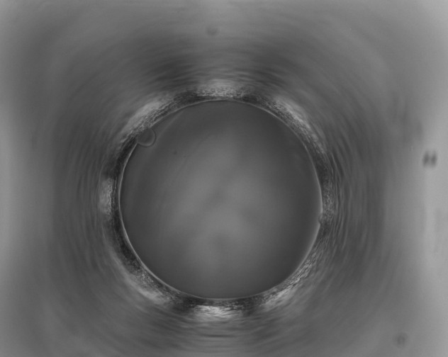 X0000096160167200801251136