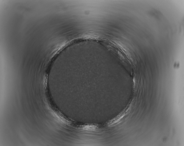 X0000096160168200801251136