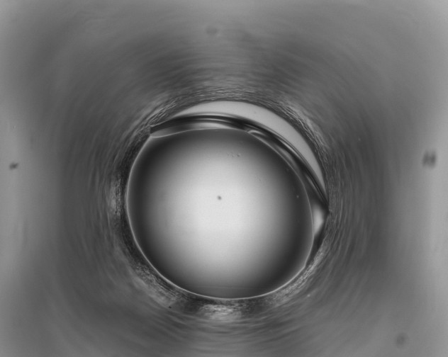 X0000096160170200801251136