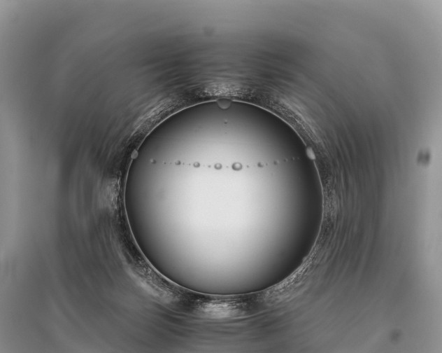 X0000096160171200801251136