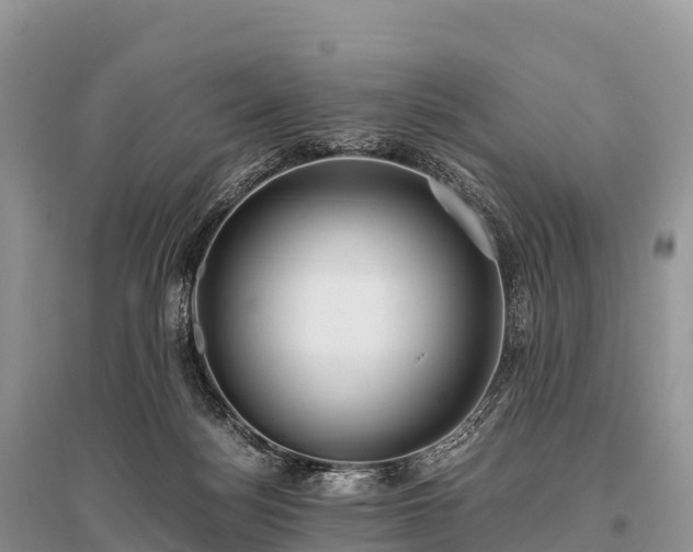 X0000096160172200801251136