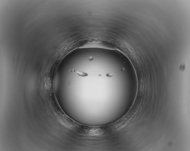 X0000096160173200801251136