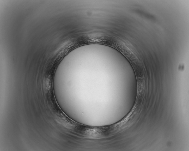 X0000096160174200801251136