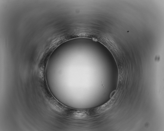 X0000096160175200801251136