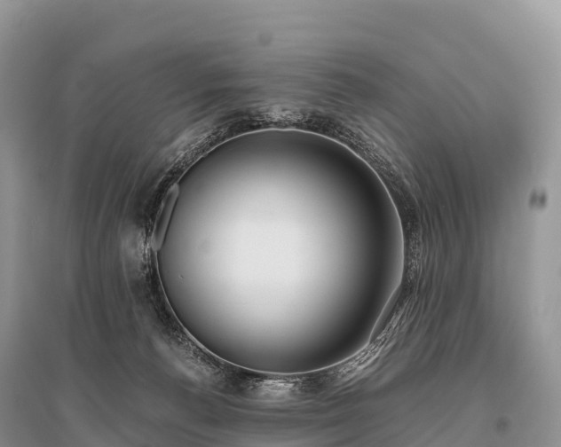 X0000096160176200801251136