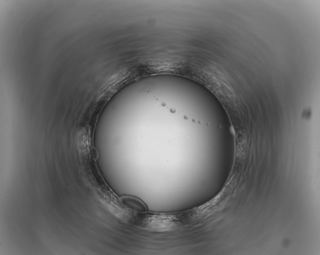 X0000096160179200801251136