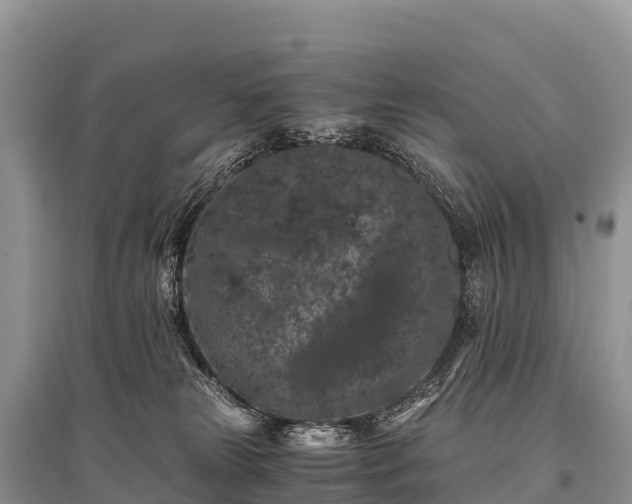 X0000096160181200801251136