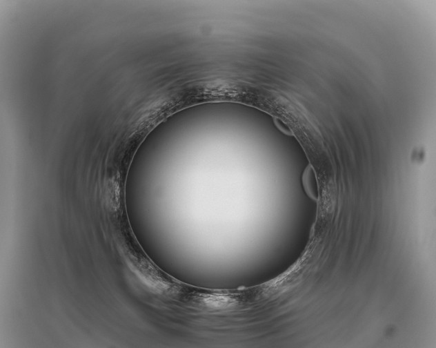 X0000096160183200801251136