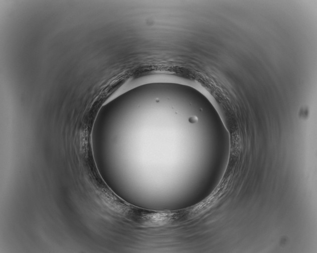 X0000096160184200801251136