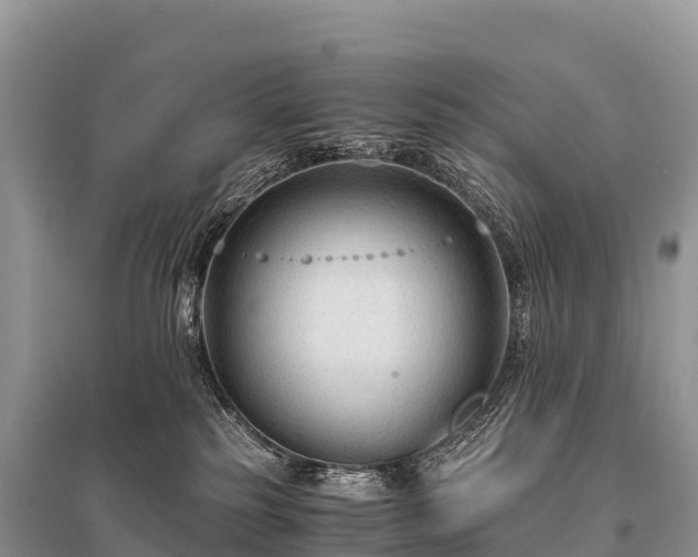 X0000096160185200801251136