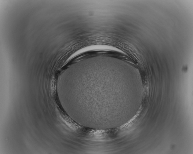 X0000096160186200801251136