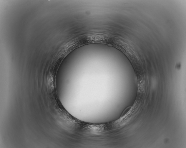 X0000096160187200801251136