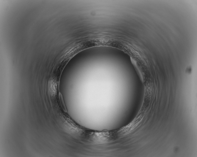 X0000096160188200801251136