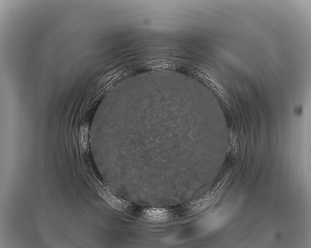 X0000096160189200801251136