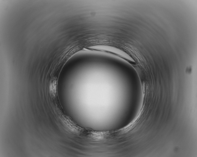 X0000096160190200801251136