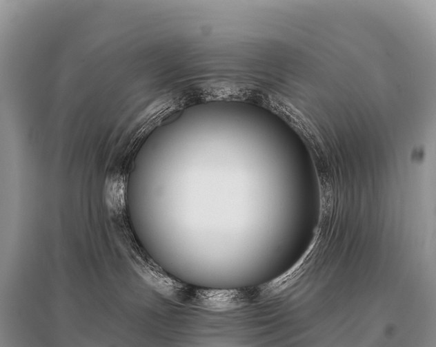 X0000096160191200801251136