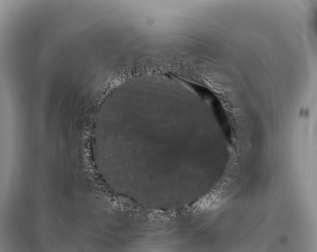 X0000096160192200801251136