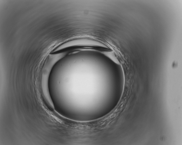 X0000096160193200801251135