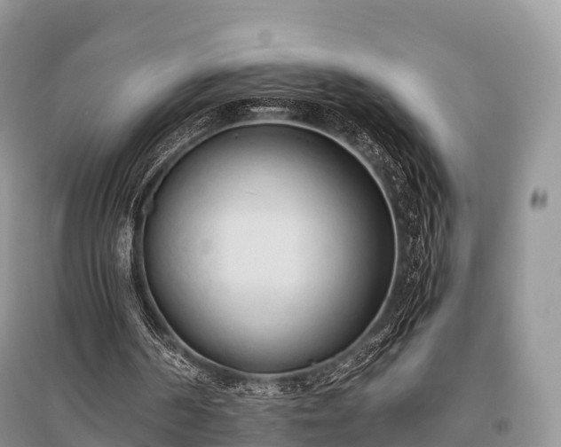 X0000096160194200801251135