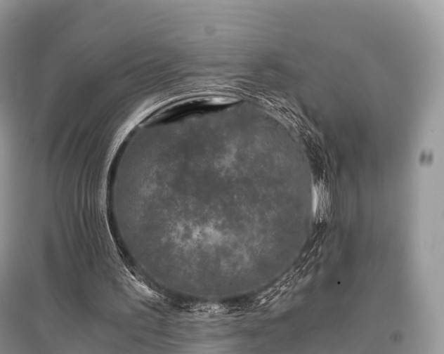 X0000096160195200801251135