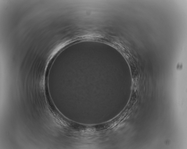 X0000096160196200801251135