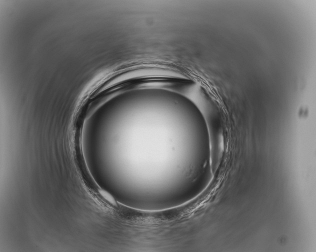 X0000096160197200801251135