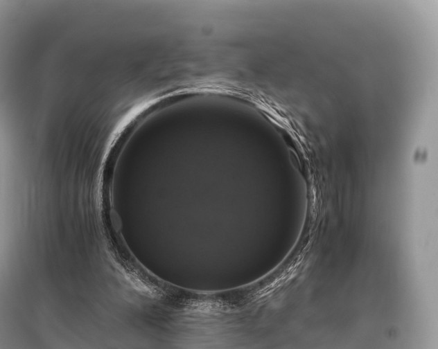 X0000096160200200801251135