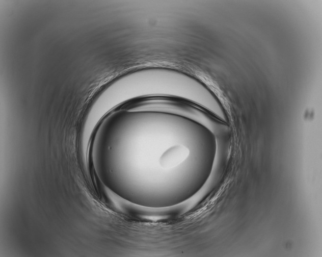 X0000096160201200801251135