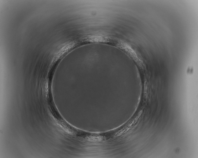 X0000096160202200801251135