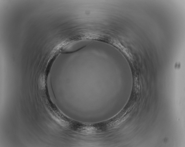 X0000096160203200801251135