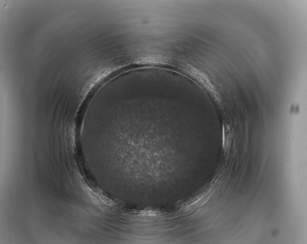 X0000096160204200801251135