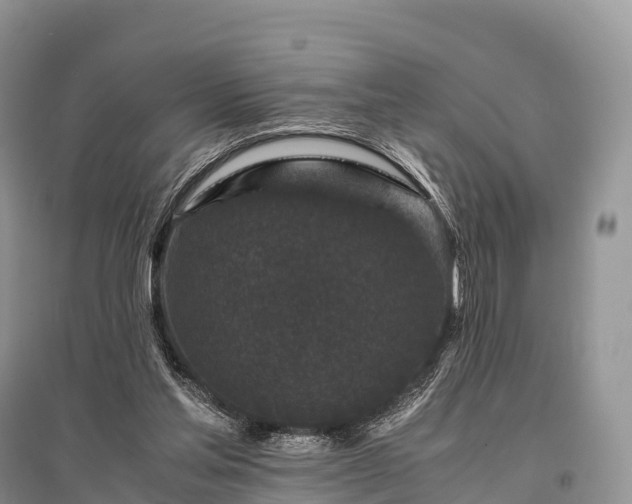 X0000096160205200801251135