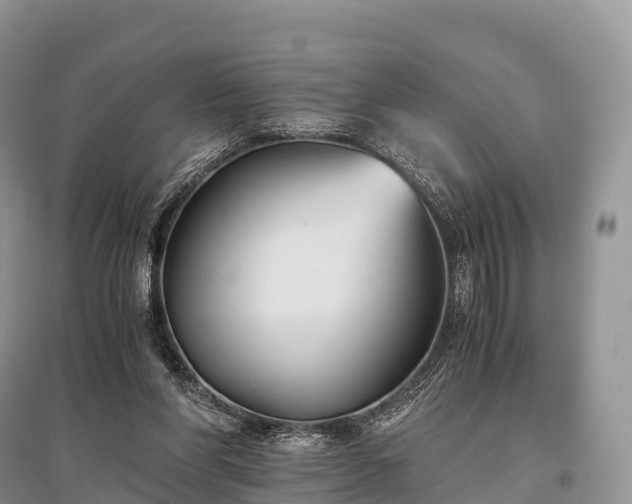 X0000096160206200801251135