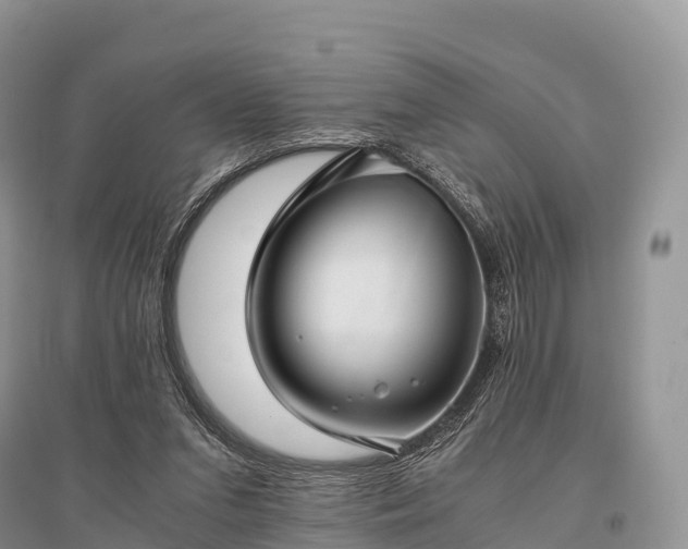 X0000096160207200801251135