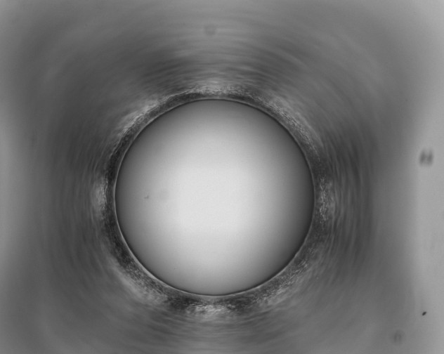 X0000096160208200801251135