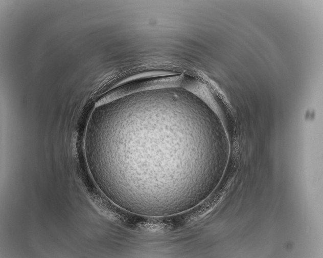 X0000096160209200801251135