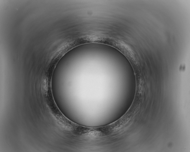 X0000096160210200801251135