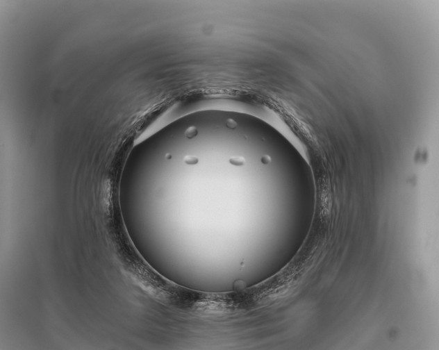 X0000096160211200801251135