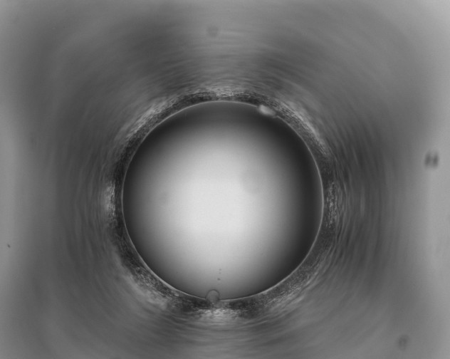 X0000096160212200801251135