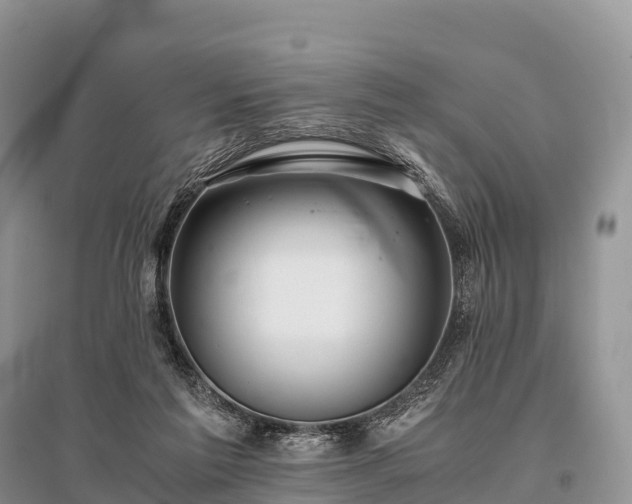 X0000096160213200801251135