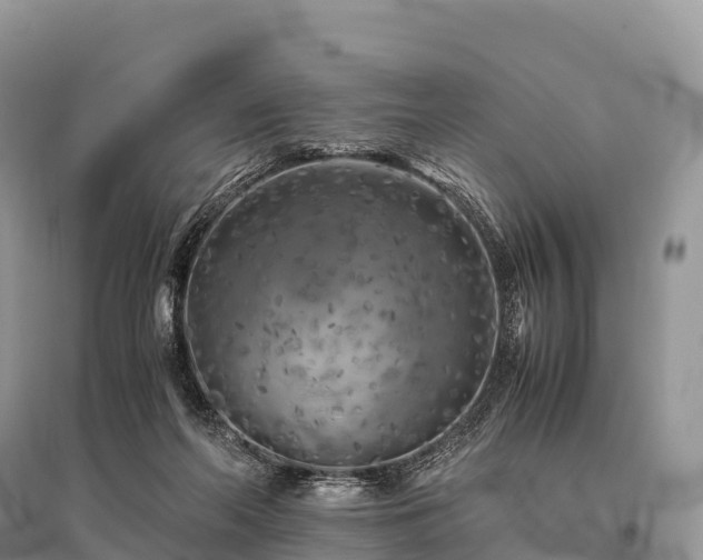 X0000096160214200801251135