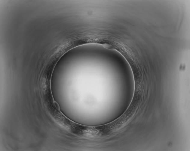 X0000096160215200801251135