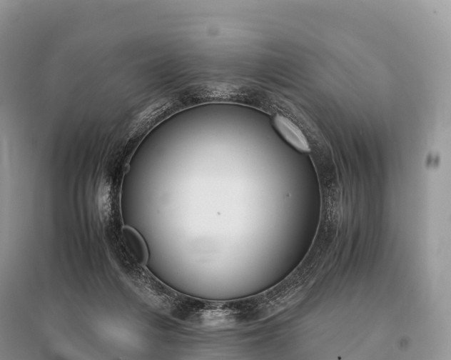 X0000096160216200801251135