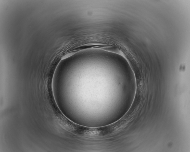 X0000096160217200801251135